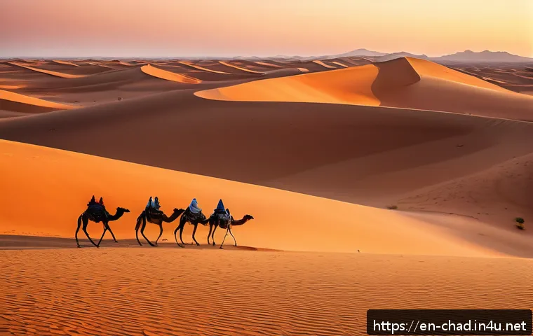 차드 주요 관광지 - A panoramic view of the Sahara Desert in northern Chad during sunset, featuring endless golden sand ...